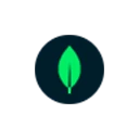 MongoDB Atlas logo - software comparison