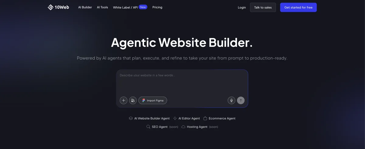10Web interface screenshot