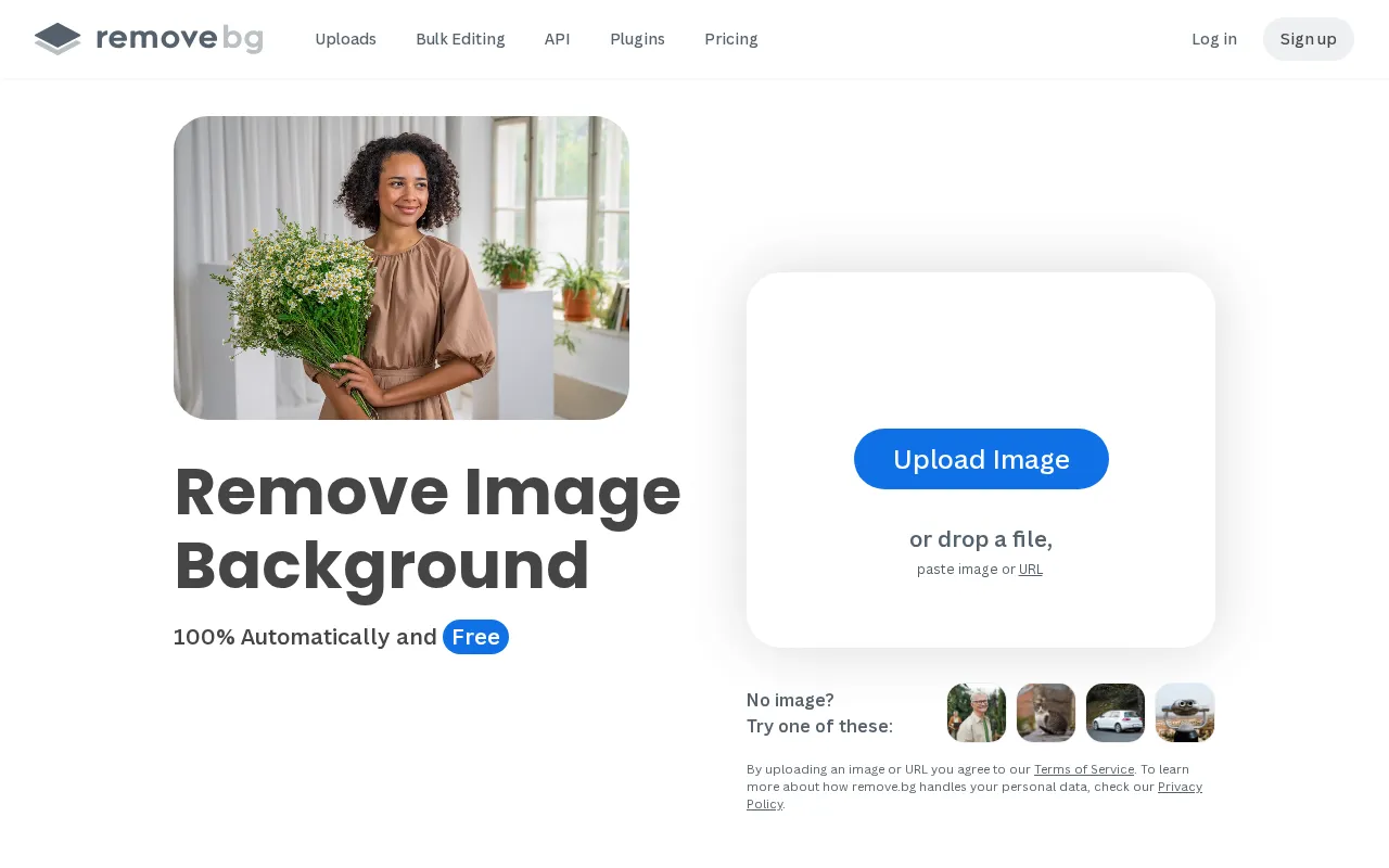 Remove.bg interface screenshot