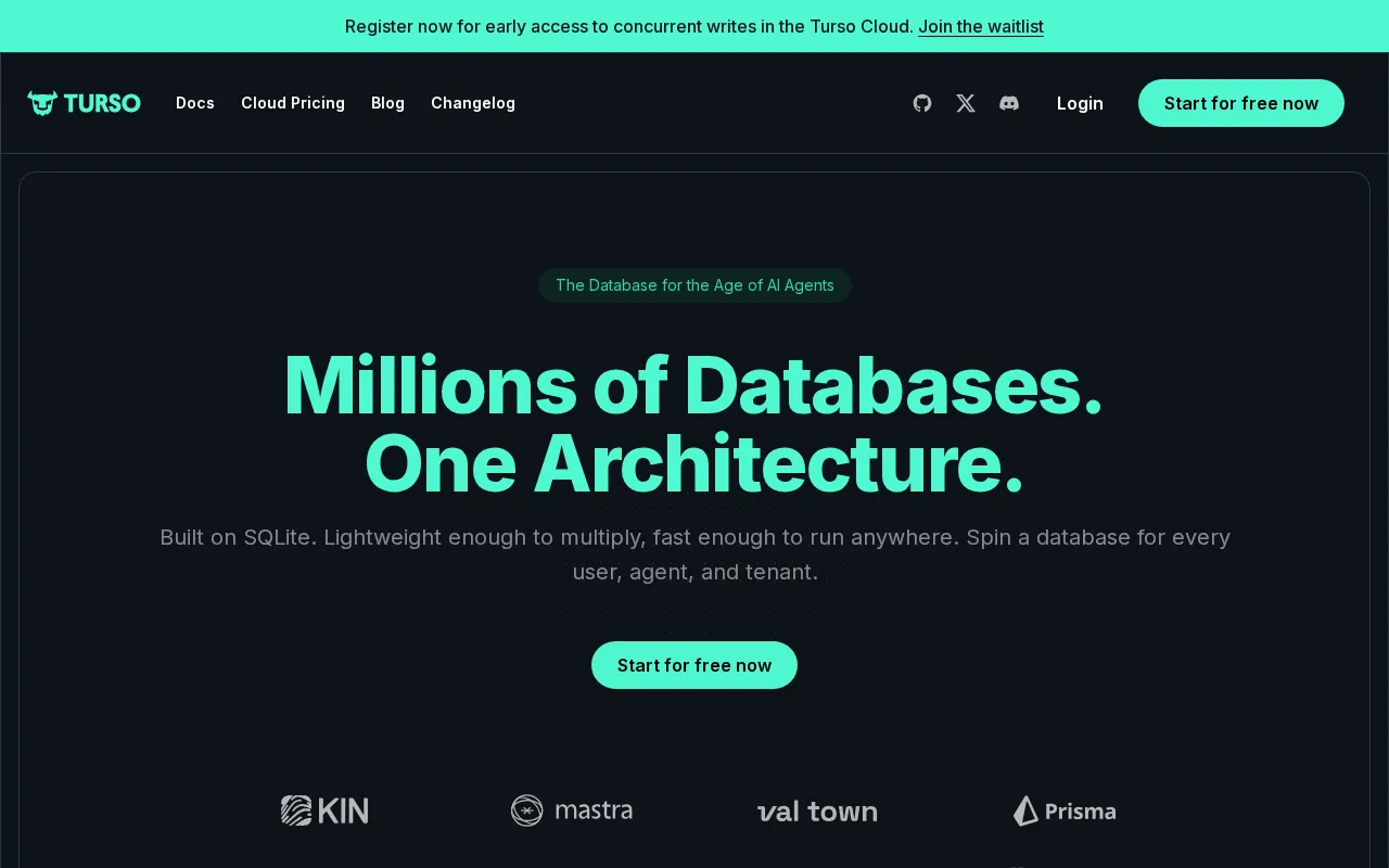Turso interface screenshot